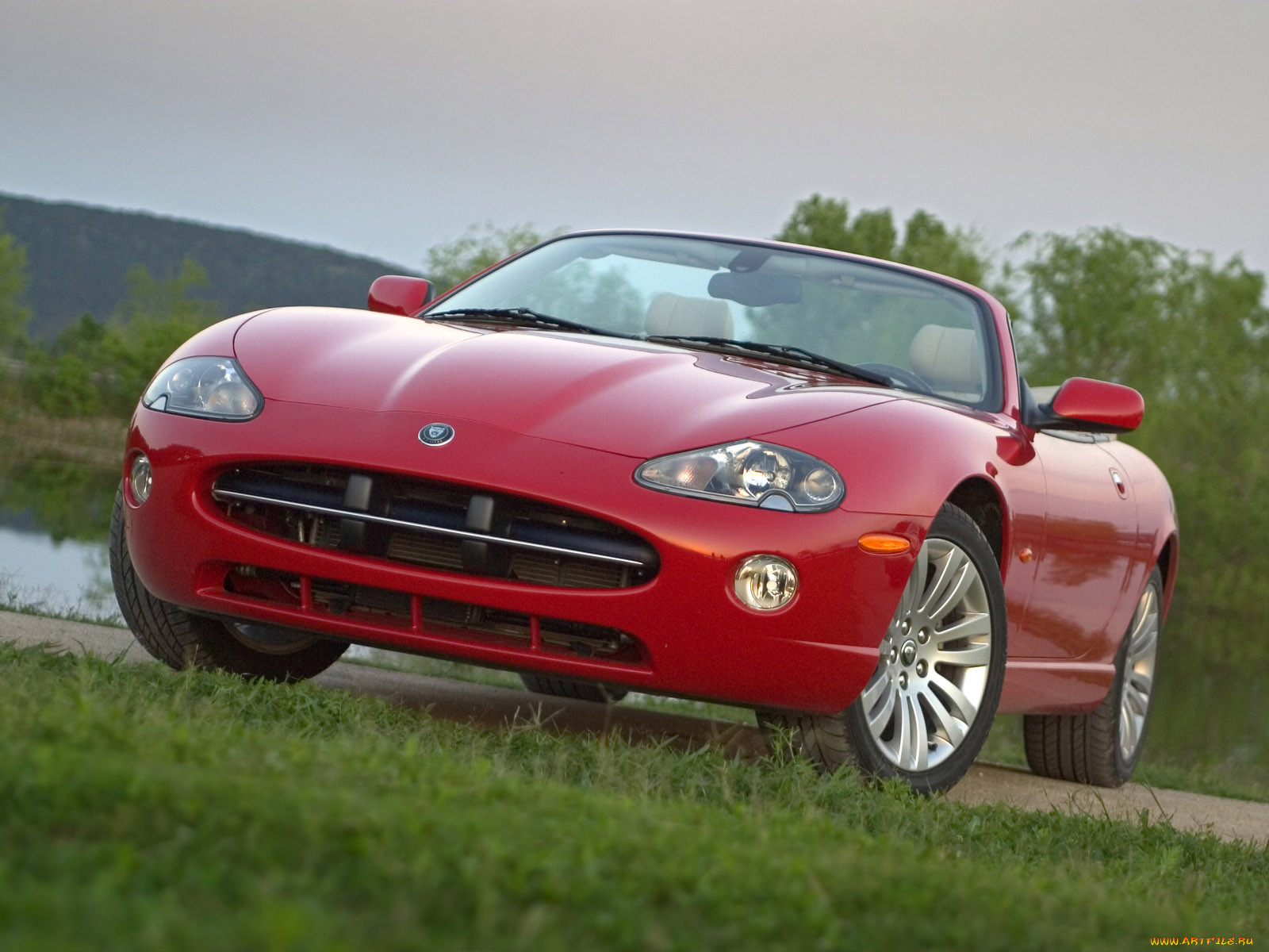 , jaguar